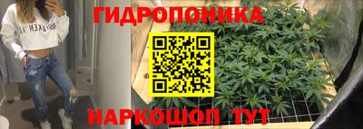 дмт Мариинск