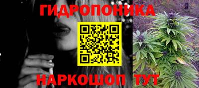 Альфа ПВП Малгобек