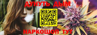 Альфа ПВП Малгобек