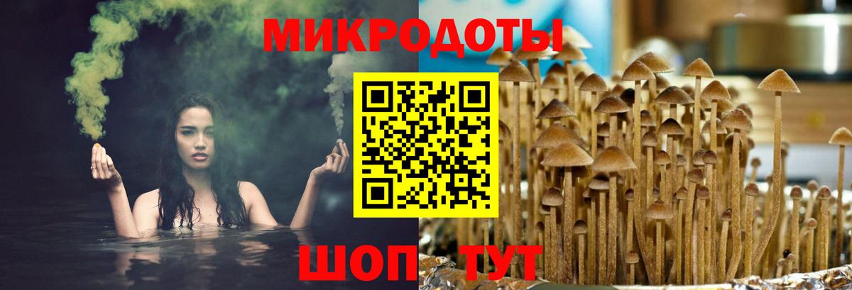 Галлюциногенные грибы Magic Shrooms  Вход с VPN  Псилоцибиновые грибы прущие грибы  Рязань 